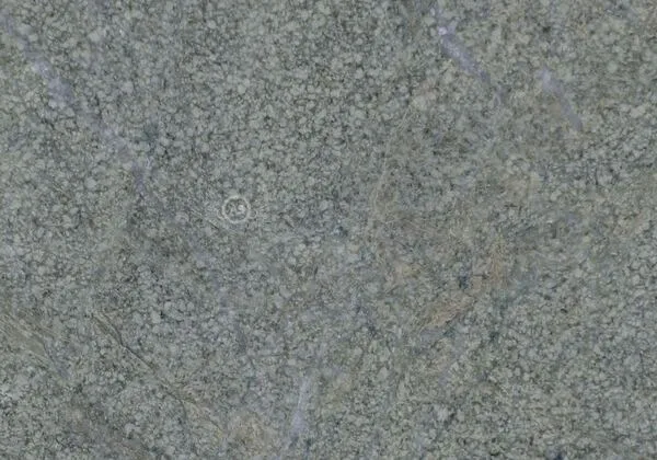 Costa Emeralda Granite polished stone color sample